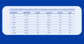 شلوار زنانه نیم بگ سایز بزرگ